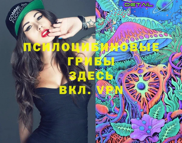 стаф Баксан