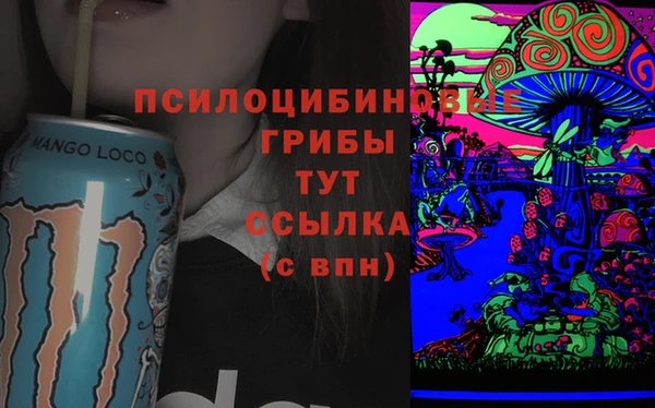 стаф Баксан