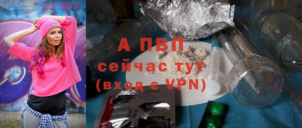 стаф Баксан