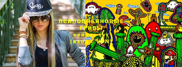 mdpv Белокуриха