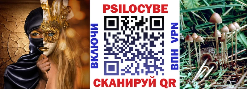 Псилоцибиновые грибы Psilocybe  где купить наркоту  Астрахань 